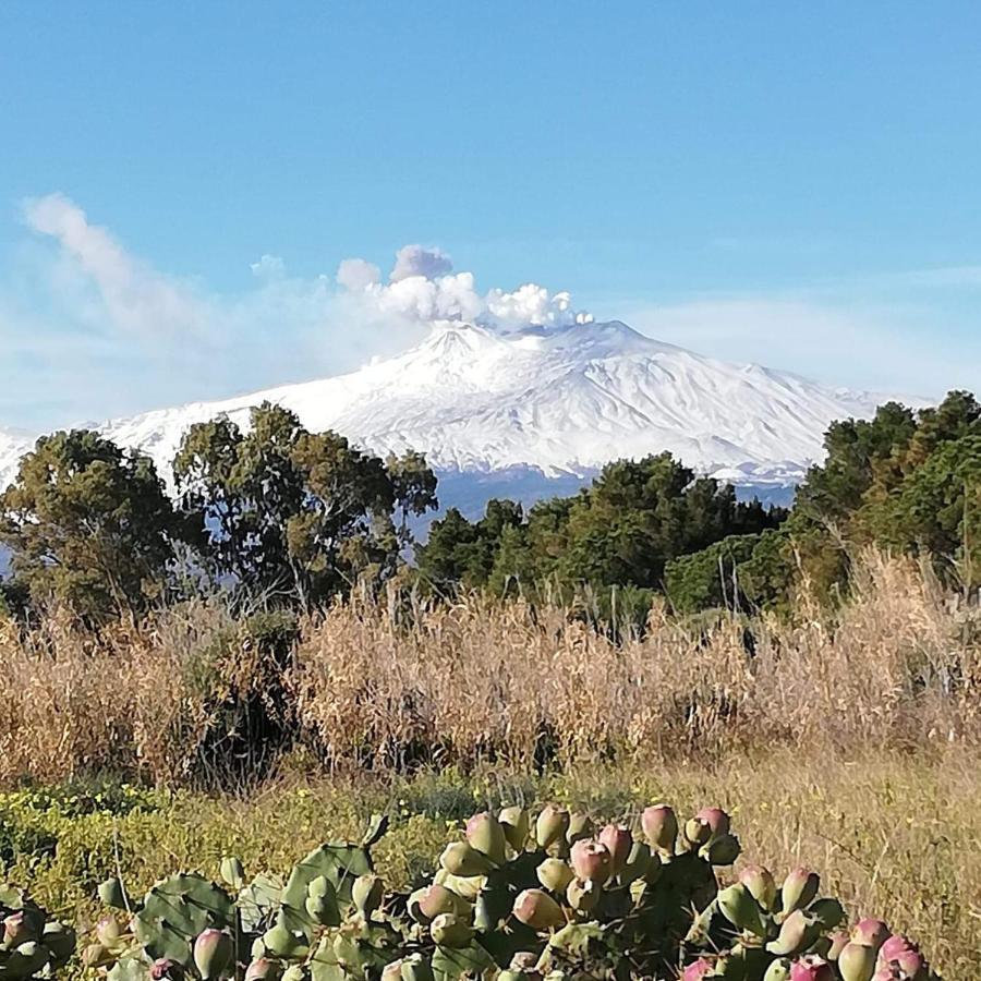 Casa Donna Rosaria Tra Etna E Taormina Apartment Рипосто Екстериор снимка